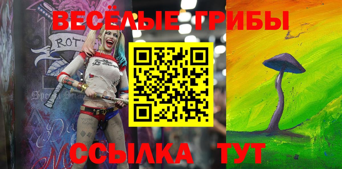 Всеволожск  Псилоцибиновые грибы GOLDEN TEACHER  Галлюциногенные грибы Psilocybine cubensis  Вход с VPN 
